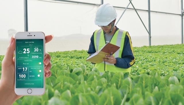 Hà Nội quyết tâm thúc đẩy IoT trong nông nghiệp