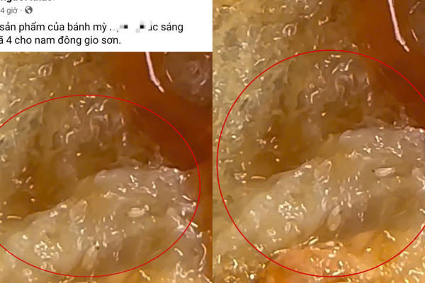 Quảng Trị: Phát hiện dòi trong thức ăn mua từ một tiệm bánh