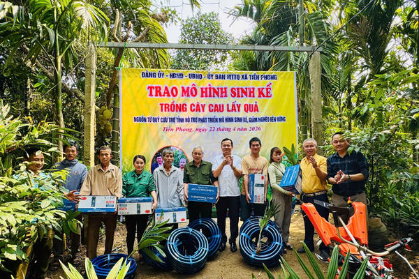 Trồng cau lấy quả giúp người dân vùng biên thoát nghèo
