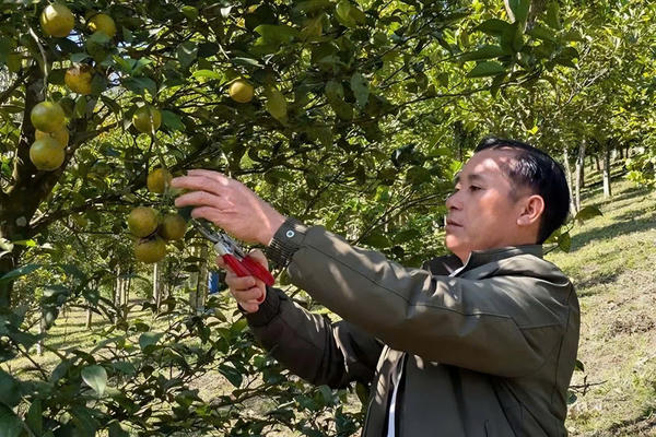 Chuyện thoát nghèo ở xã vùng biên