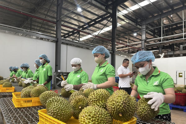 Nông sản Việt: Chuyển từ cạnh tranh bằng giá sang cạnh tranh bằng chất