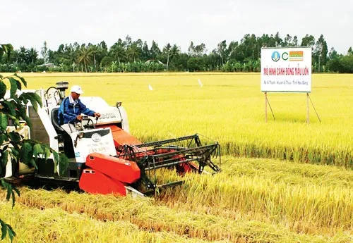 Thúc đẩy chuyển đổi xanh trong nông nghiệp Thúc đẩy chuyển đổi xanh trong nông nghiệp