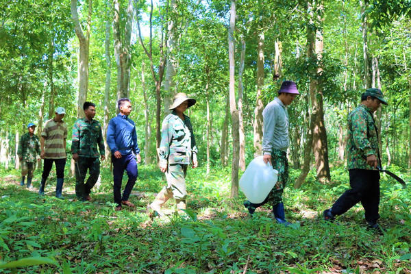 Quảng Ngãi giữ rừng giữa mùa nắng nóng - Bài 1: Nhọc nhằn tìm nước giữa đại ngàn