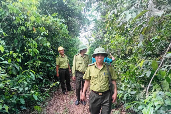 Giám sát phòng cháy rừng trong mùa nắng nóng
