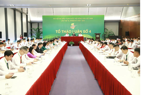 Đề xuất xây dựng chỉ tiêu cụ thể về phát triển “nông dân số”
