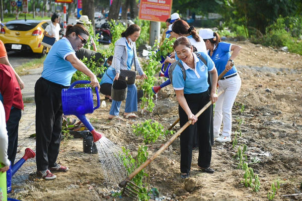 Cải tạo đất trống thành vườn xanh