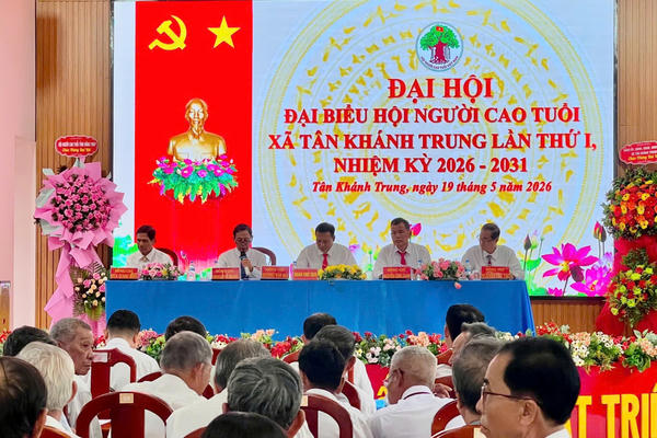 Đồng Tháp đẩy mạnh sắp xếp, kiện toàn các tổ chức hội 