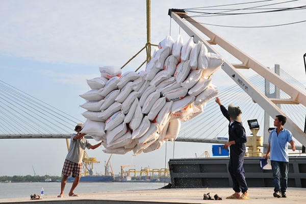Phân cấp chứng nhận gạo thơm: Động lực tái cấu trúc ngành lúa gạo
