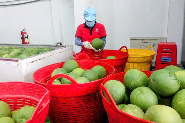 Hàng Việt “mở cửa” thị trường nghìn tỷ USD