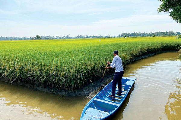 Động lực tăng trưởng từ kinh tế tuần hoàn