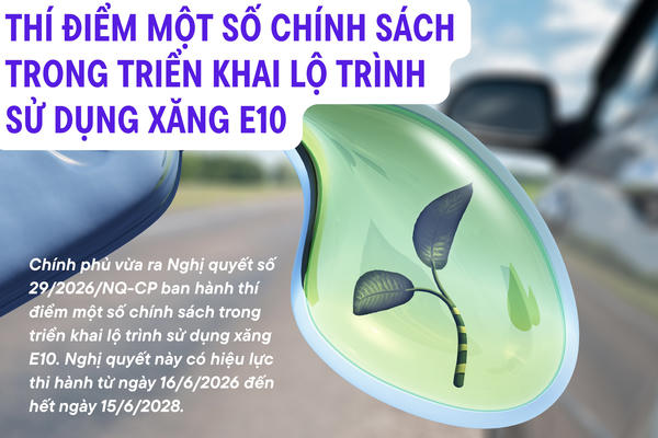 Infographic: Thí điểm một số chính sách trong triển khai lộ trình sử dụng xăng E10