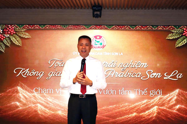 Sơn La quyết tâm đưa cà phê Arabica chinh phục thị trường toàn cầu