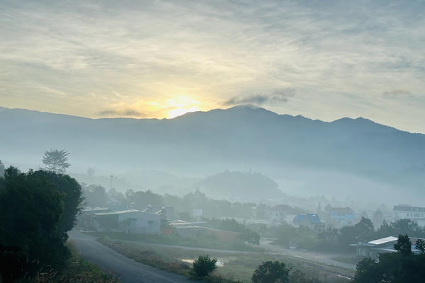 Về với đại ngàn