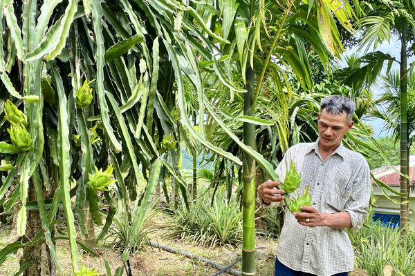 Đà Nẵng: Đời sống đồng bào vùng cao đã khởi sắc