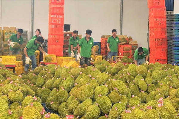 Bộ Nông nghiệp và Môi trường tiết kiệm trên 5.300 tỷ đồng chi phí tuân thủ cho người dân và doanh nghiệp