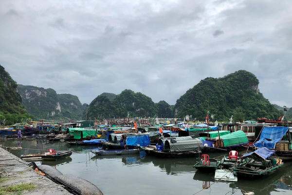 Quảng Ninh: ‘Cấm’ biển, khẩn trương ứng phó bão số 1