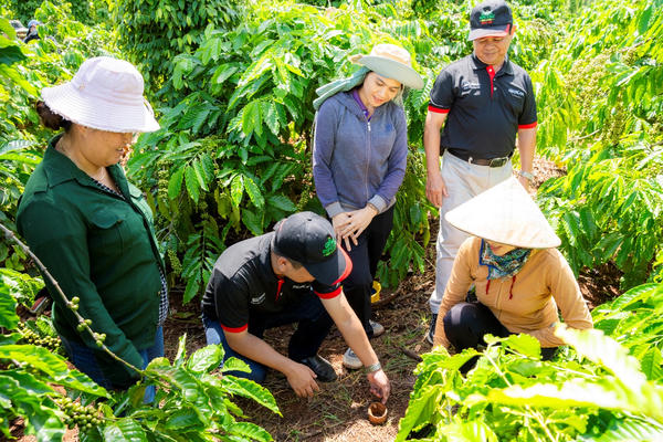 Nông nghiệp tái sinh đang thay đổi tích cực ngành cà phê Việt Nam