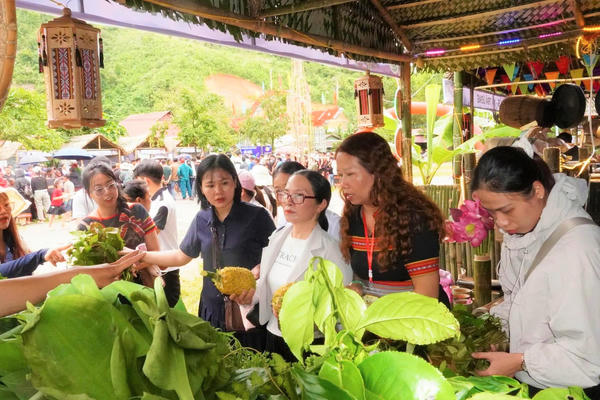 Khai mạc lễ hội “Hương quế Trà Leng” 