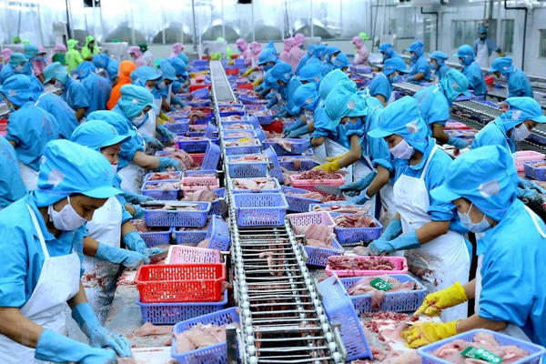 Thủy sản Việt Nam tăng tốc chinh phục chuỗi giá trị toàn cầu