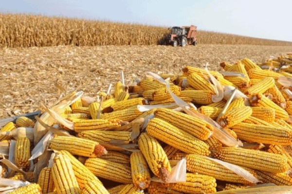 Nhập khẩu nông, lâm, thủy sản tăng gần 12%