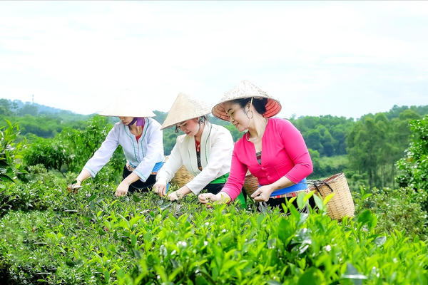 Hà Nội: Hiệu quả từ vận hành chính quyền địa phương 2 cấp