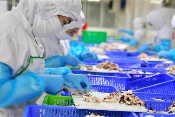 Cơ hội cho thủy sản chinh phục thị trường chất lượng cao