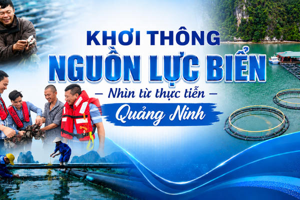Bài 1: 45.000ha mặt biển và "khoảng trống" cần lấp đầy