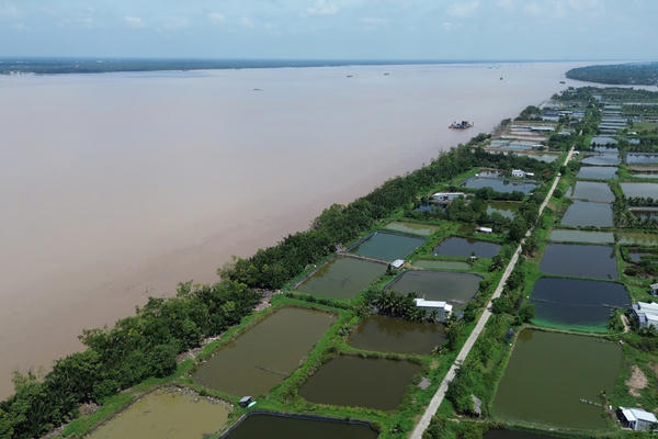Đê biển Giồng Bàn sạt lở nghiêm trọng, hàng trăm hộ dân bị đe dọa