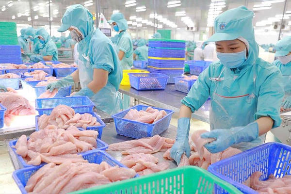 Giữa tháng 7, thu ngân sách nhà nước hoàn thành 65,5% dự toán Giữa tháng 7, thu ngân sách nhà nước hoàn thành 65,5% dự toán