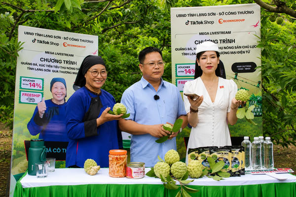 Lạng Sơn: Na Chi Lăng mở rộng thị trường nhờ thương mại điện tử