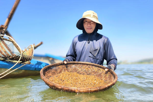 Quảng Ngãi: Mưu sinh theo con nước với nghề cào don trên sông Trà Khúc
