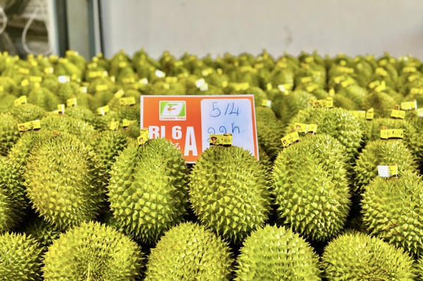 Từ vụ Thứ trưởng Hoàng Trung bị khởi tố: Vẫn câu chuyện thao túng “giấy phép con”
