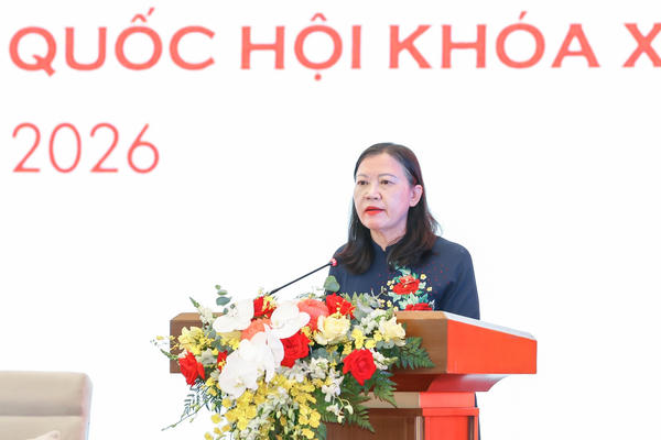 Tập trung giám sát vào những vấn đề có ý nghĩa chiến lược đối với phát triển đất nước 