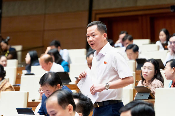 Đại biểu Quốc hội đề xuất nghiên cứu bổ sung hoạt động kinh doanh kim cương, vàng vào diện quản lý