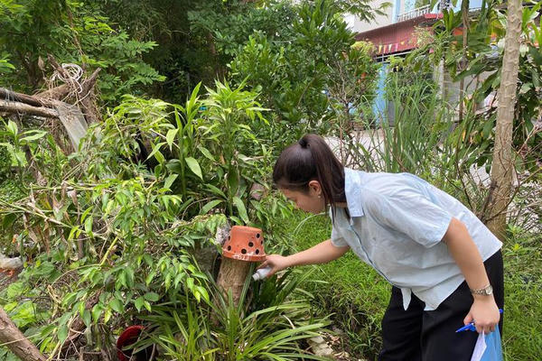 Sốt xuất huyết vào mùa cao điểm