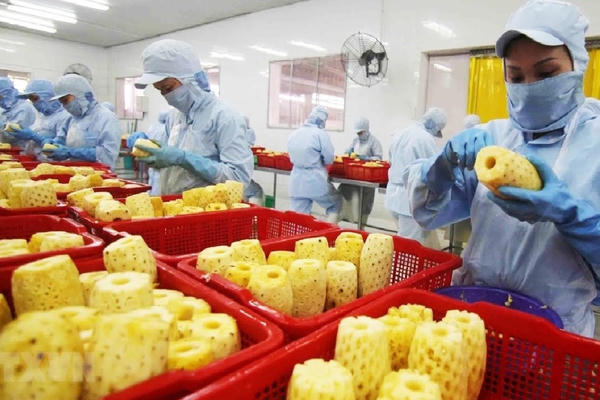 Chế biến sâu mở dư địa cho xuất khẩu trái cây