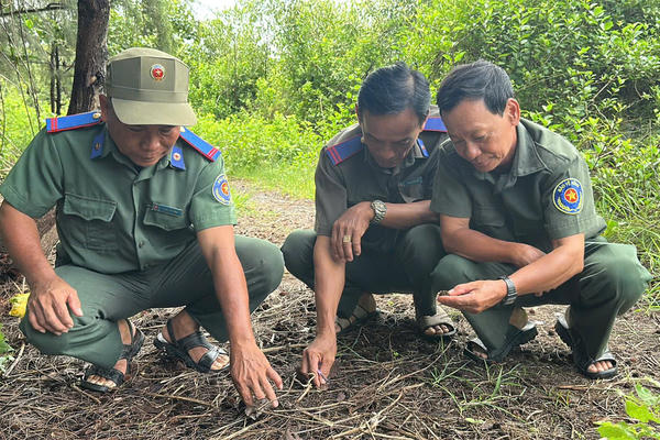 Giữ màu xanh Thạnh Phú, bảo tồn bền vững hệ sinh thái đất ngập nước