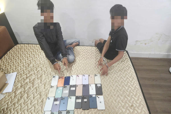 Đà Nẵng: Bắt hai anh em trộm 27 chiếc điện thoại trị giá hơn 400 triệu