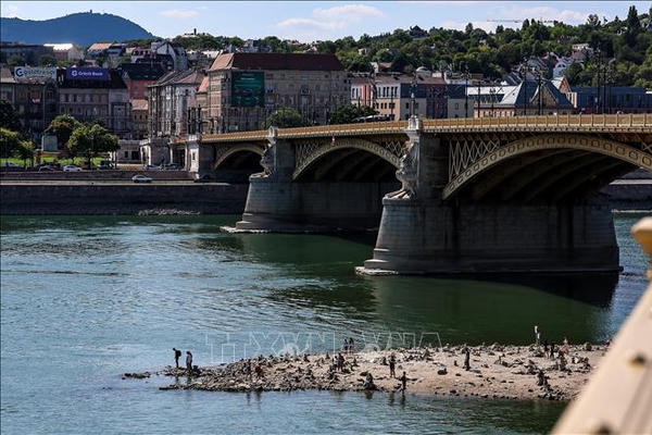 Mực nước sông Danube xuống thấp, đe dọa an ninh năng lượng Trung và Đông Âu