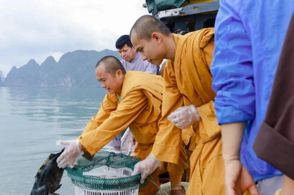 Giáo hội Phật giáo Việt Nam đề nghị không thu gom động vật để phóng sinh mùa Vu Lan