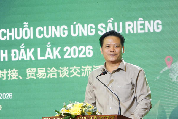 Đắk Lắk nâng tầm sầu riêng: Từ “bán quả” đến xây dựng chuỗi giá trị