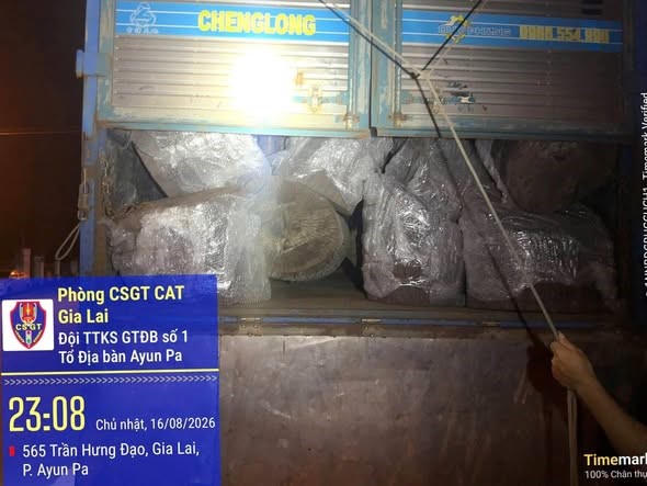 Gia Lai: Tạm giữ xe tải chở hơn 12m3 gỗ không có giấy tờ
