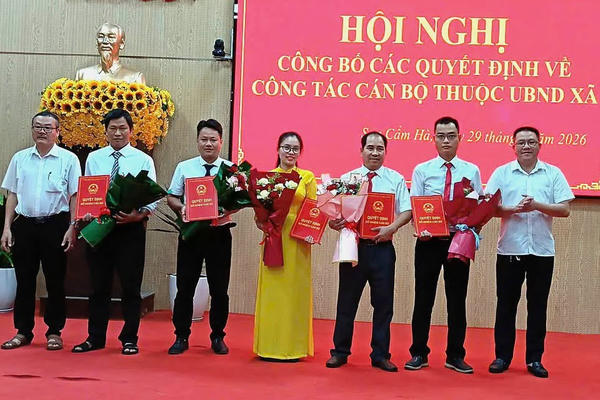Đà Nẵng: Nhiều trường học công bố tổ chức sau sắp xếp