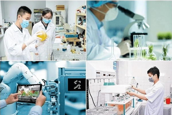 Giữ liêm chính từ những nghiên cứu trẻ