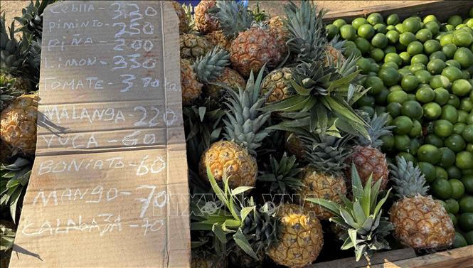 Cuba đối mặt với tỷ lệ lạm phát trên 20%