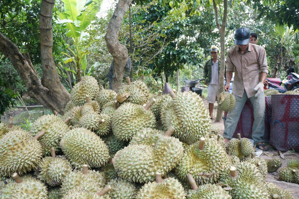 Ngành nông nghiệp phối hợp đồng bộ để đạt mục tiêu tăng trưởng