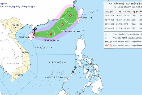 Các tỉnh, thành ven biển chủ động ứng phó với áp thấp nhiệt đới khả năng mạnh thành bão