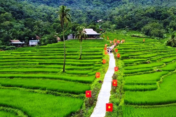 Đi giữa mùa độc lập