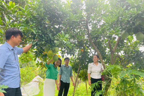 Mỹ Đức: Tiếp sức vốn, tạo sinh kế bền vững cho nông dân