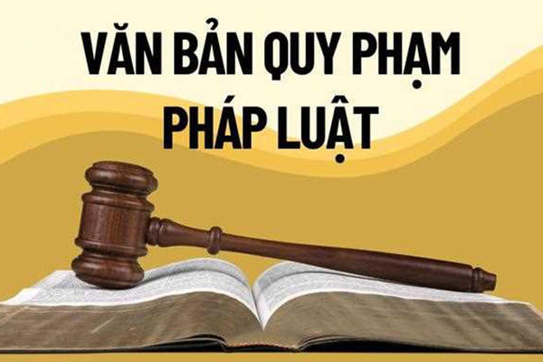 Tổng rà soát hệ thống văn bản quy phạm pháp luật: Không vì tiến độ mà làm giảm chất lượng Tổng rà soát hệ thống văn bản quy phạm pháp luật: Không vì tiến độ mà làm giảm chất lượng